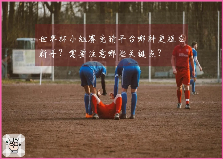 世界杯小组赛竞猜平台哪种更适合新手？需要注意哪些关键点？