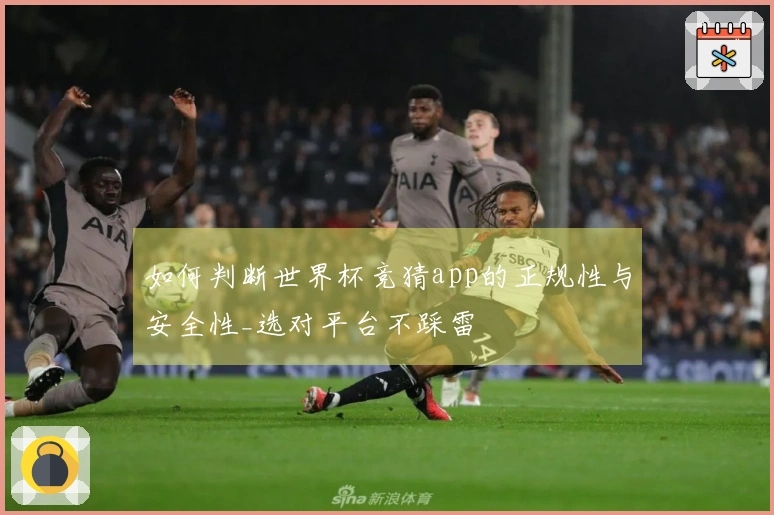 如何判断世界杯竞猜app的正规性与安全性_选对平台不踩雷