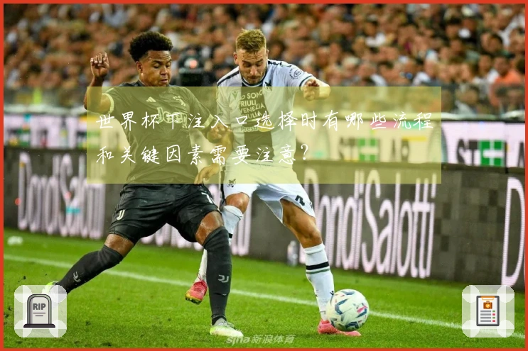 世界杯下注入口选择时有哪些流程和关键因素需要注意？