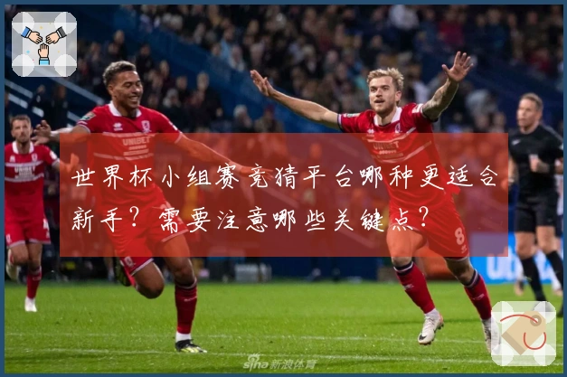 世界杯小组赛竞猜平台哪种更适合新手？需要注意哪些关键点？