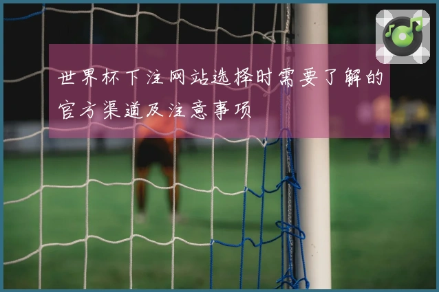 世界杯下注网站选择时需要了解的官方渠道及注意事项