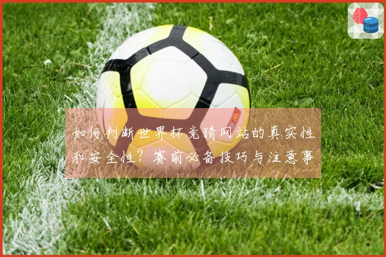 如何判断世界杯竞猜网站的真实性和安全性？赛前必备技巧与注意事项
