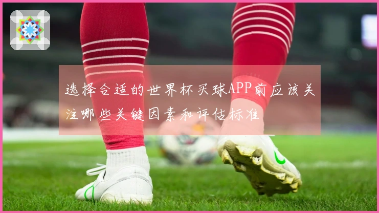 选择合适的世界杯买球APP前应该关注哪些关键因素和评估标准