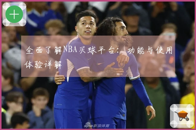 全面了解NBA买球平台：功能与使用体验详解