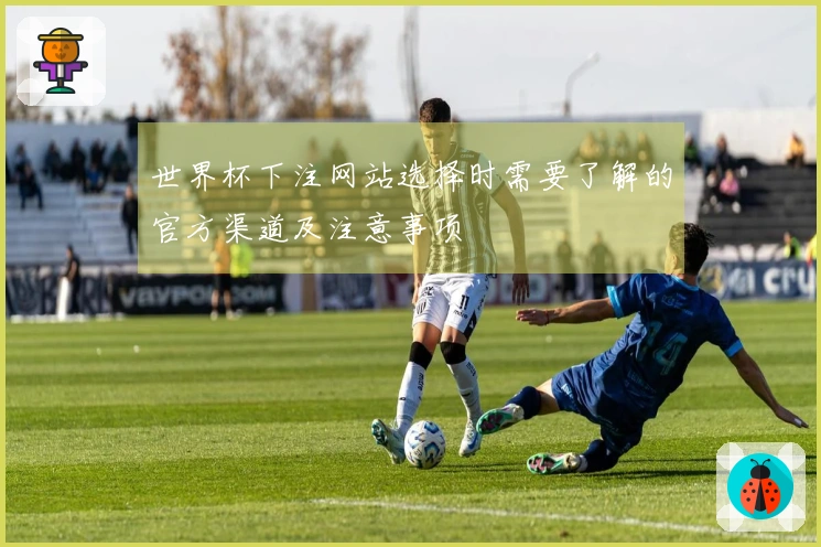 世界杯下注网站选择时需要了解的官方渠道及注意事项