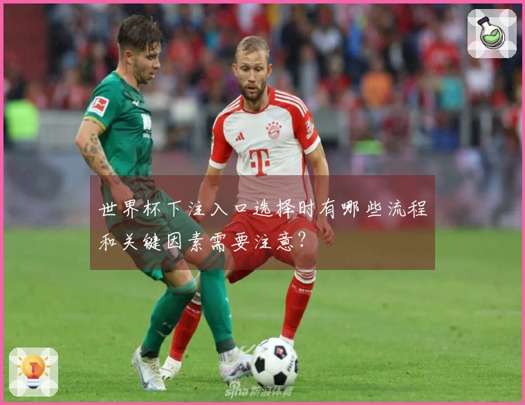 世界杯下注入口选择时有哪些流程和关键因素需要注意？