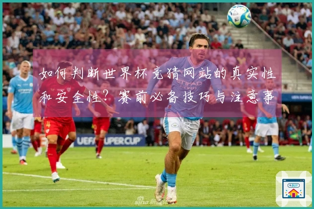 如何判断世界杯竞猜网站的真实性和安全性？赛前必备技巧与注意事项